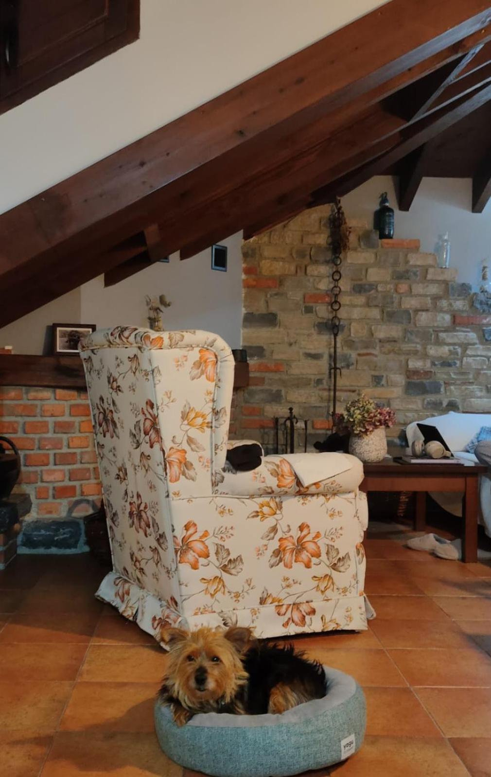 Apartamentos Rurales El Collain De Campiellos Eksteriør bilde