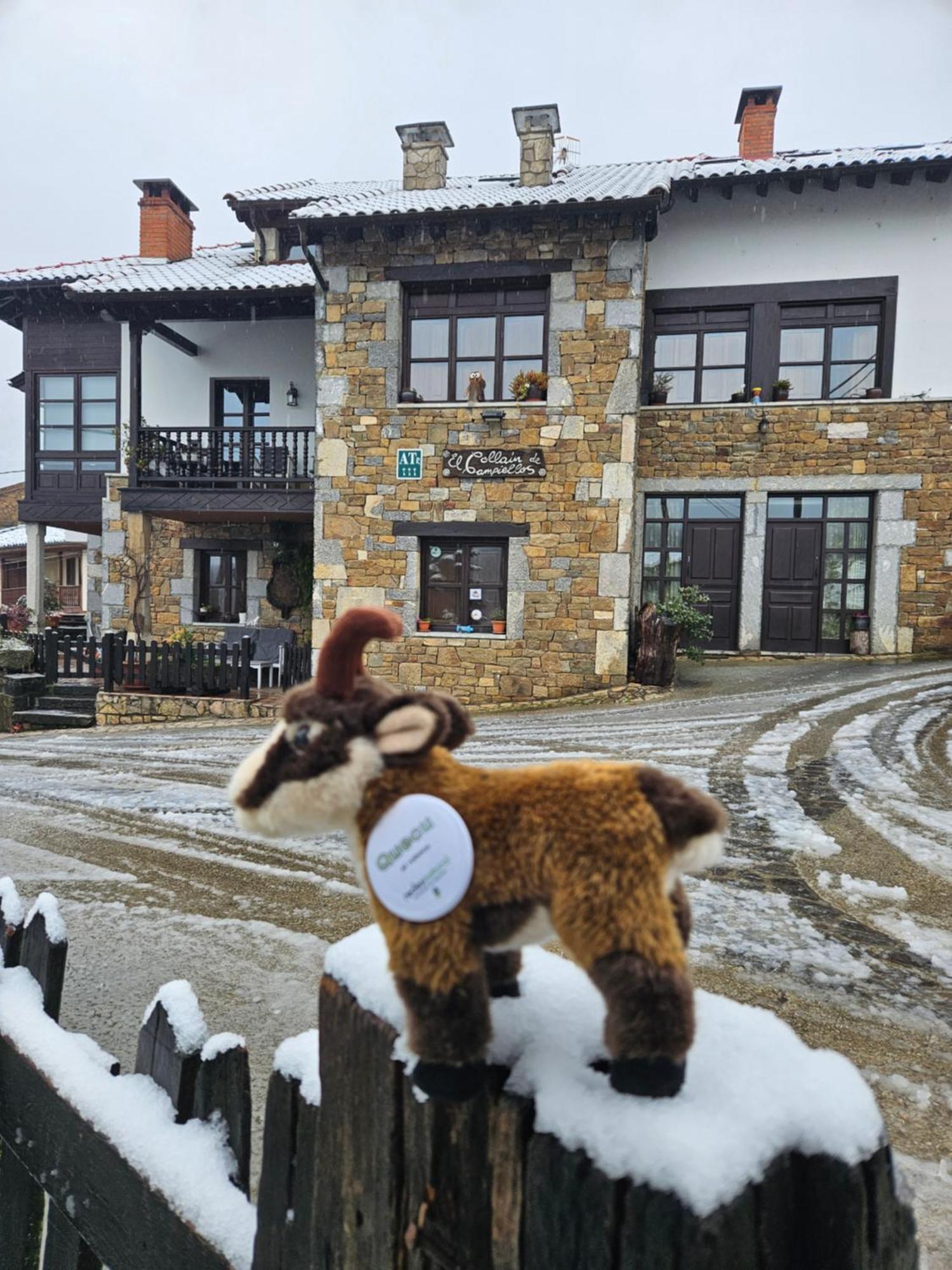 Apartamentos Rurales El Collain De Campiellos Eksteriør bilde